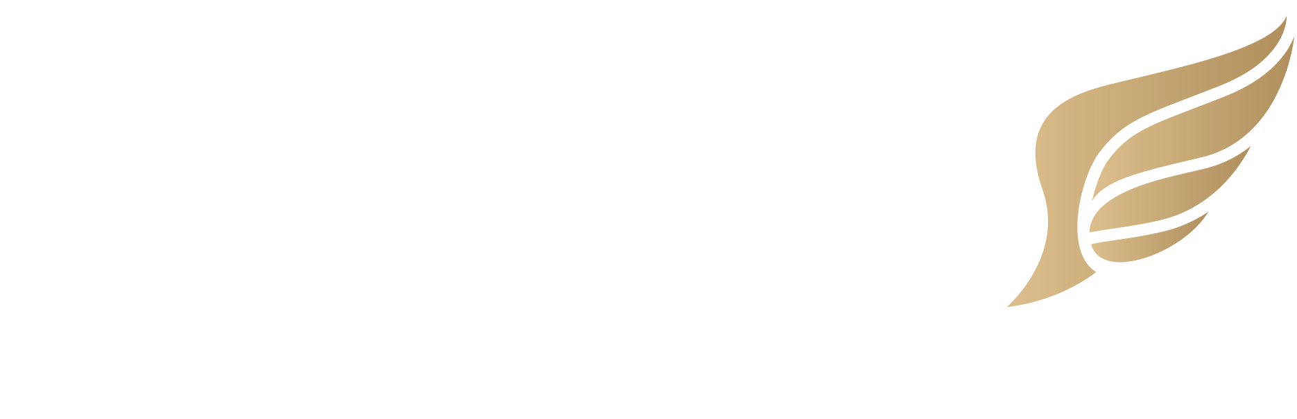 Mendicino Consultoria